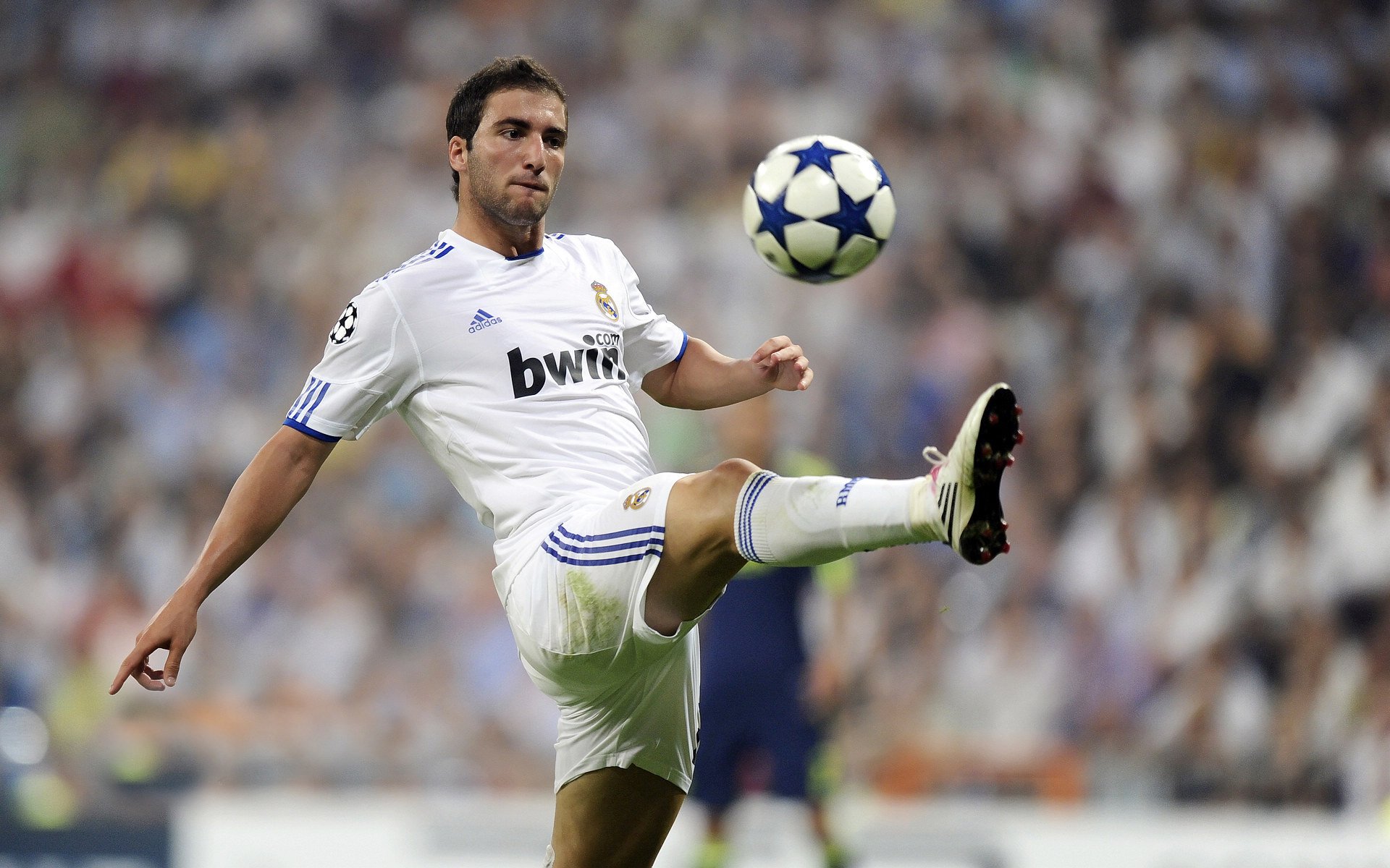 黄蜂公布球员个人训练数据引球迷关注，黄蜂有哪些球员