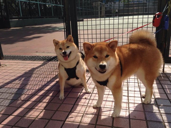 爱游戏官方网站-_场馆升级：更宽敞、更智能的比赛环境_，竞赛场馆运行分区有哪些