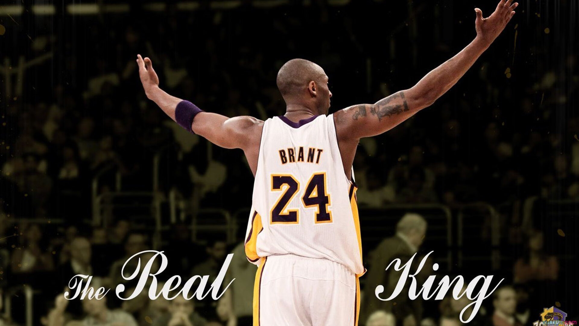 AYX SPORTS-巴西足球振兴计划持续推进，青训成效显著